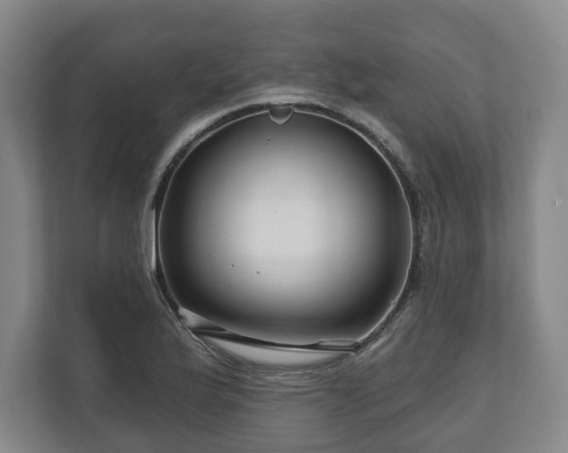 X0000111201175200907081236