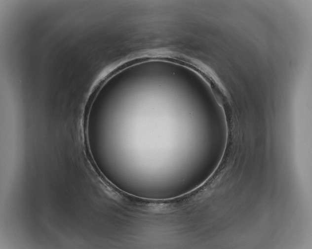 X0000111201176200907081236