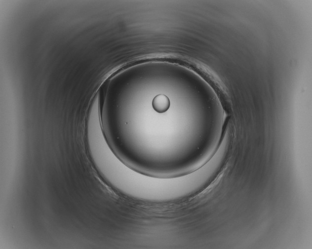 X0000111201177200907081236