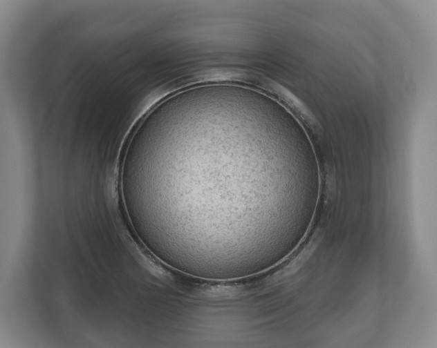 X0000111201178200907081236