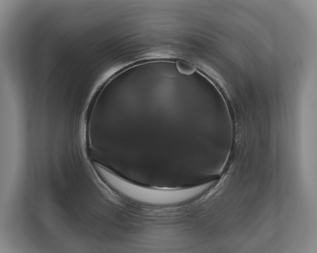 X0000111201179200907081236