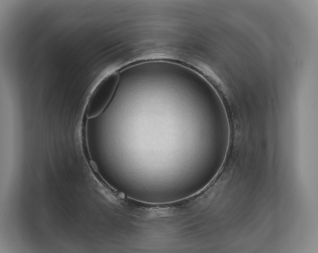 X0000111201181200907081236