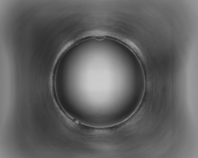 X0000111201183200907081235