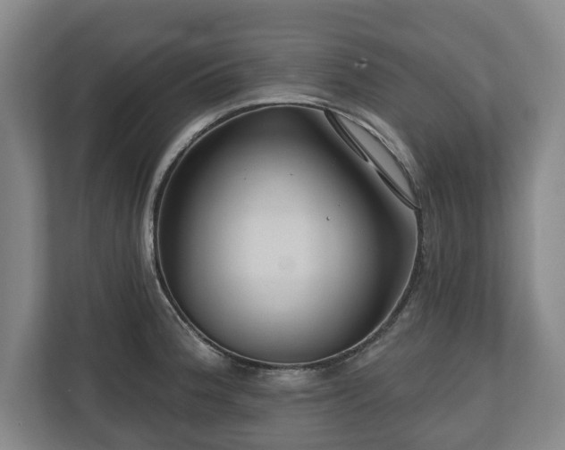 X0000111201188200907081235