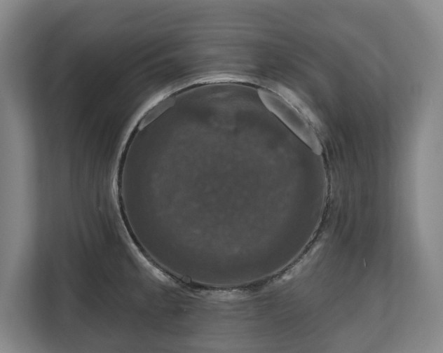 X0000111201189200907081235