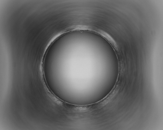 X0000111201190200907081235