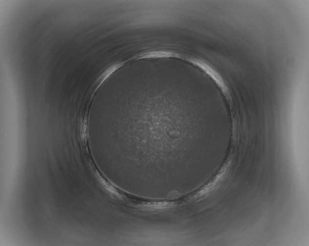 X0000111201193200907081235