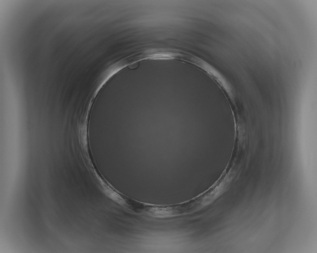 X0000111201194200907081235