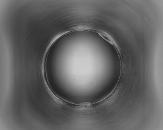 X0000111201195200907081235