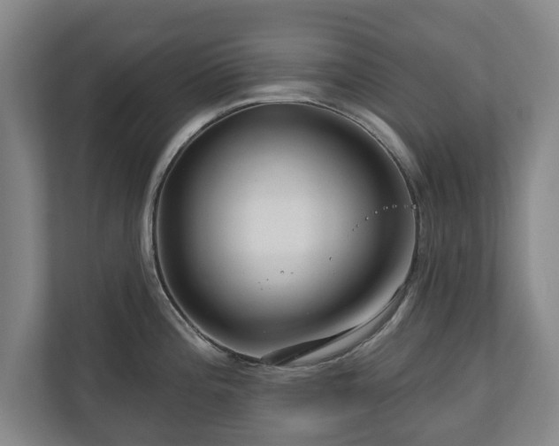 X0000111201196200907081235