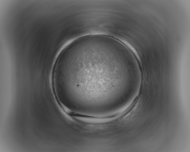 X0000111201197200907081235