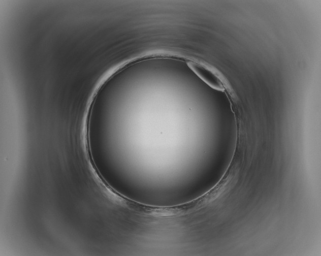 X0000111201199200907081235