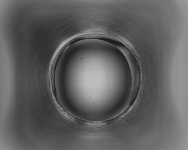 X0000111201200200907081235