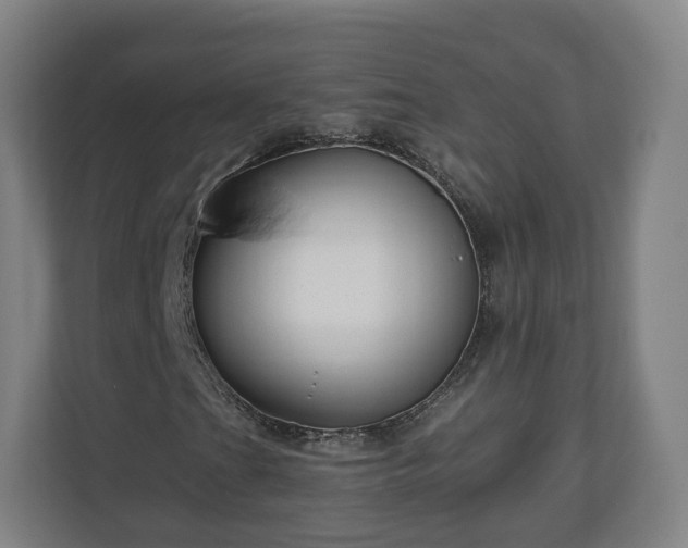 X0000111201201200907081235