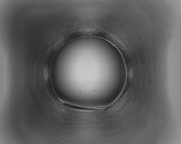 X0000111201204200907081235