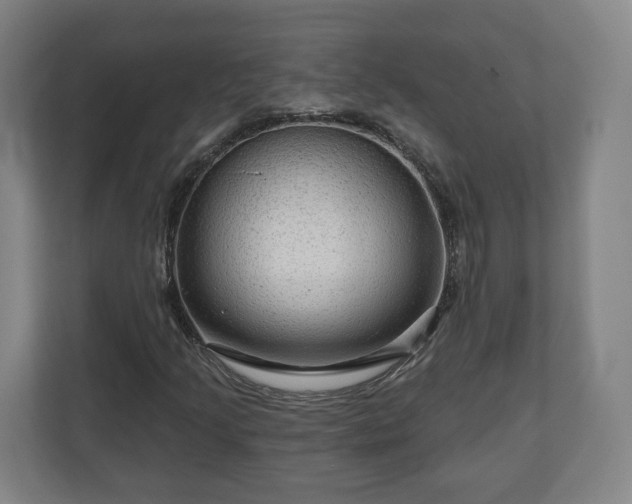 X0000111201205200907081235