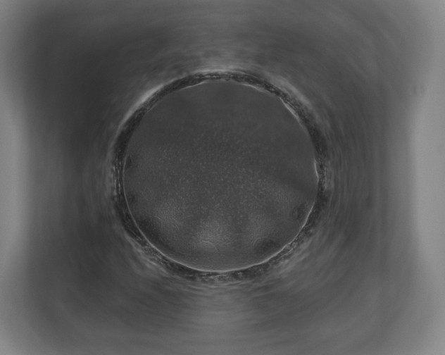 X0000111201208200907081235