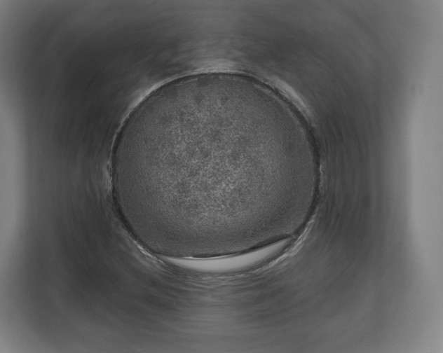 X0000111201212200907081235