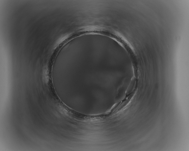 X0000111201213200907081235