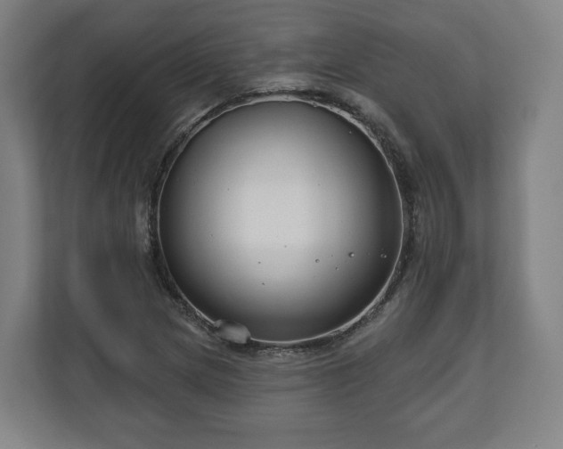 X0000111201217200907081235