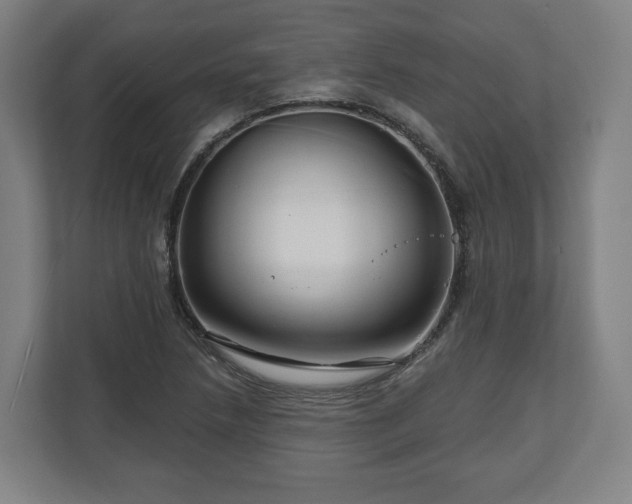 X0000111201218200907081235