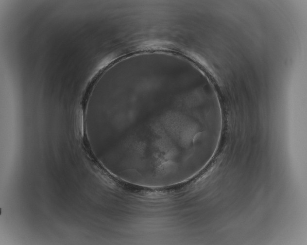 X0000111201219200907081235