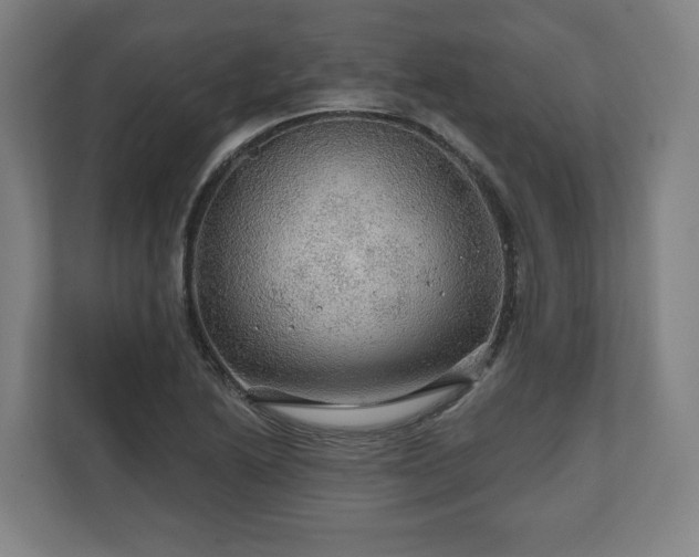 X0000111201222200907081235