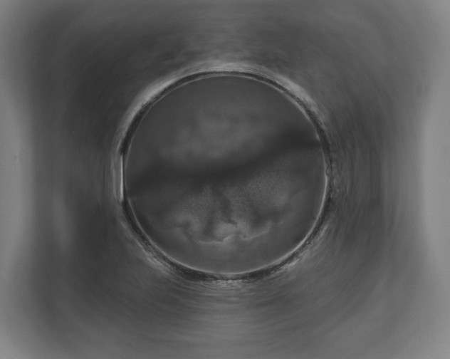 X0000111201223200907081235