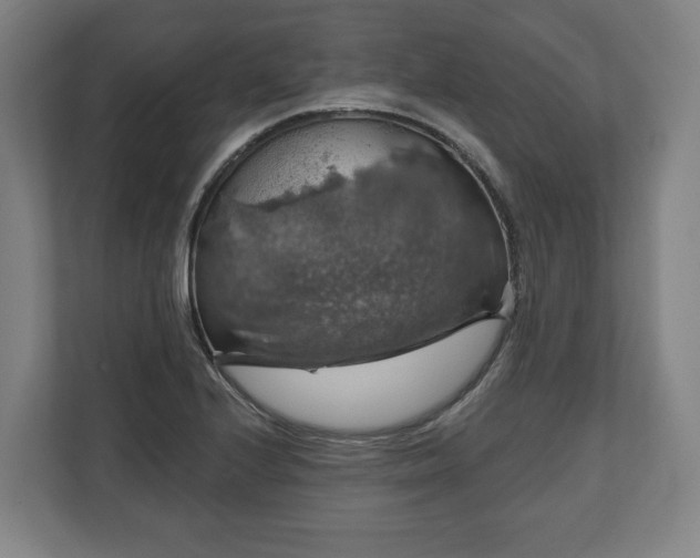 X0000111201224200907081235