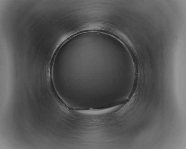 X0000111201226200907081235