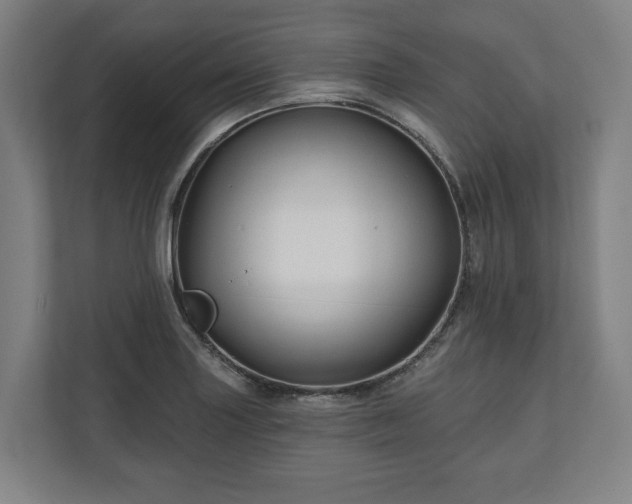 X0000111201227200907081235