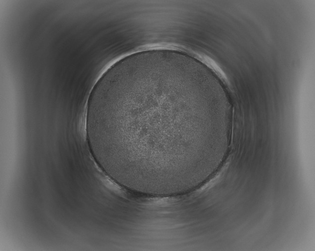 X0000111201228200907081235