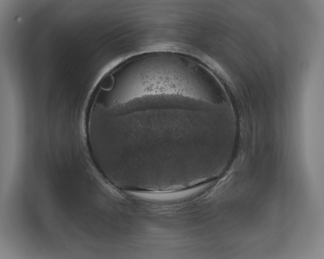 X0000111201230200907081235