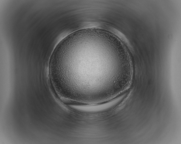 X0000111201234200907081235