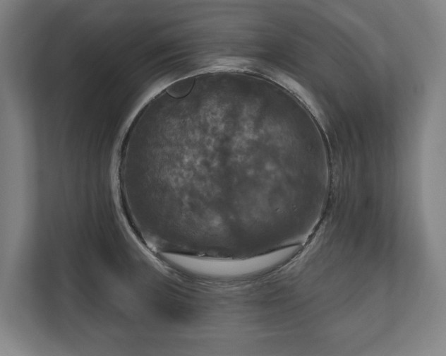 X0000111201235200907081235