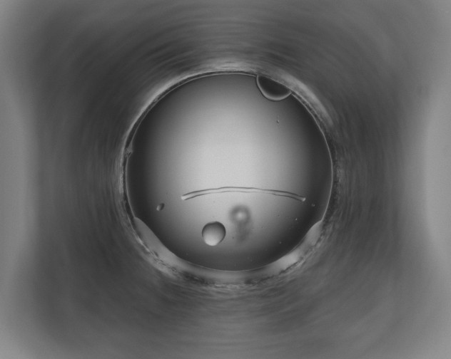 X0000111201236200907081235