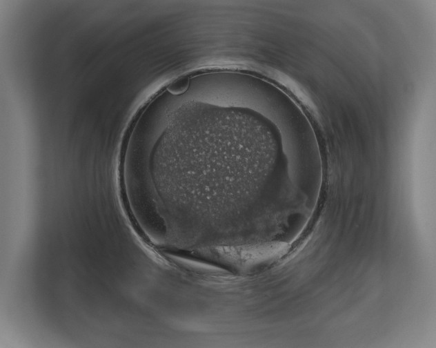 X0000111201237200907081235