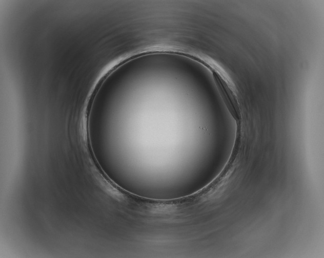 X0000111201238200907081235