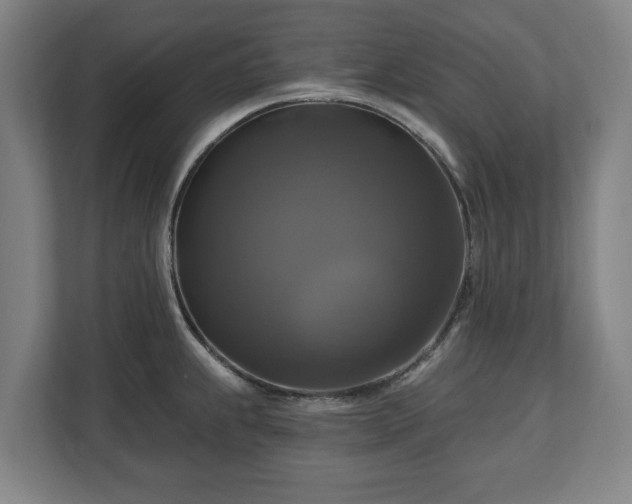 X0000111201239200907081235