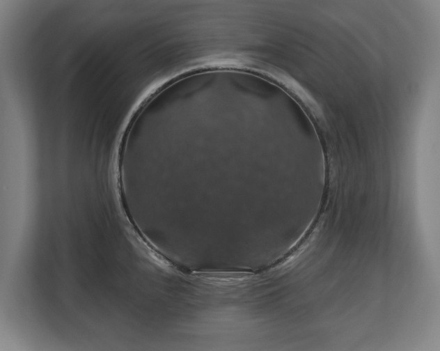 X0000111201240200907081235