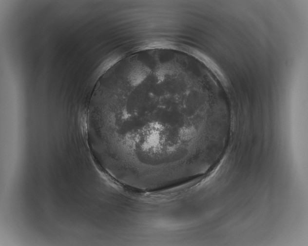 X0000111201241200907081235