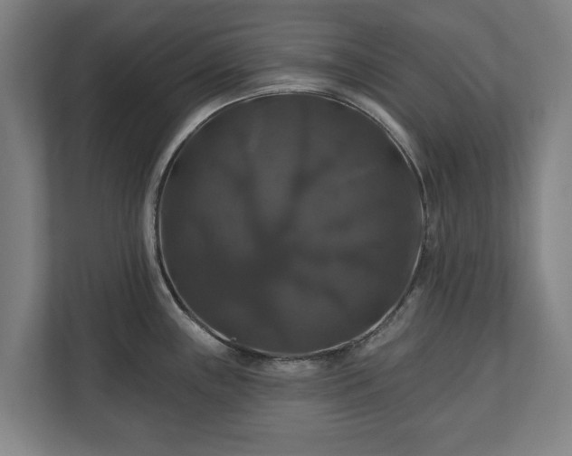 X0000111201243200907081235