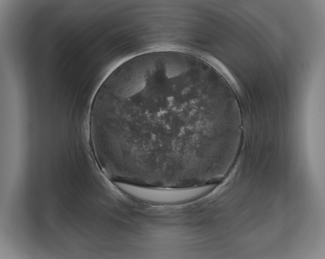 X0000111201244200907081235