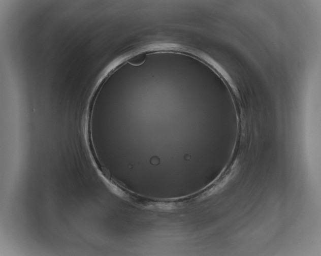 X0000111201245200907081235