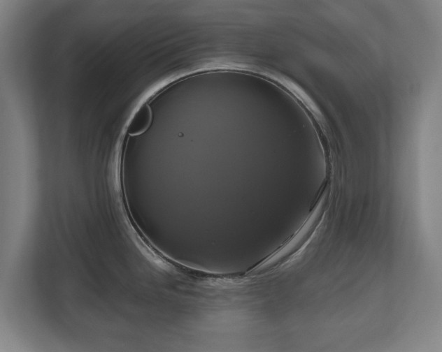 X0000111201246200907081235