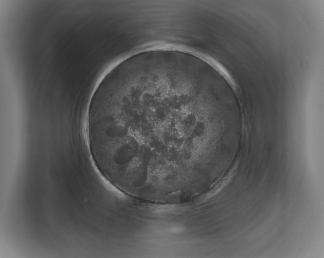 X0000111201247200907081235