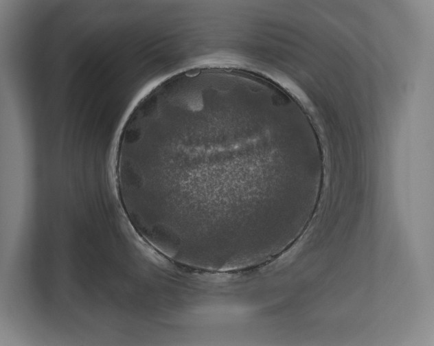 X0000111201248200907081235