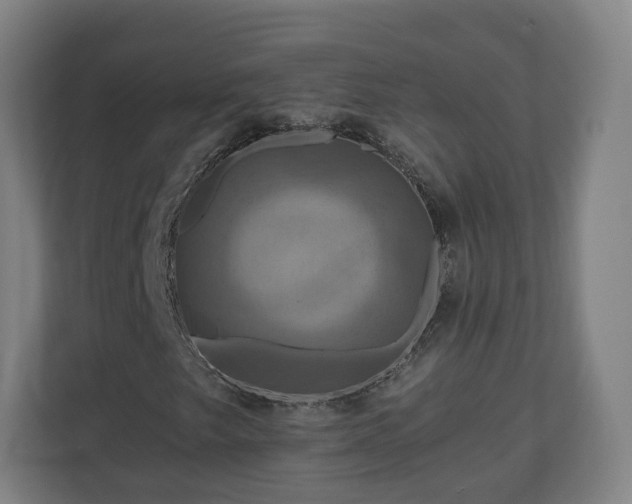 X0000111201249200907081235