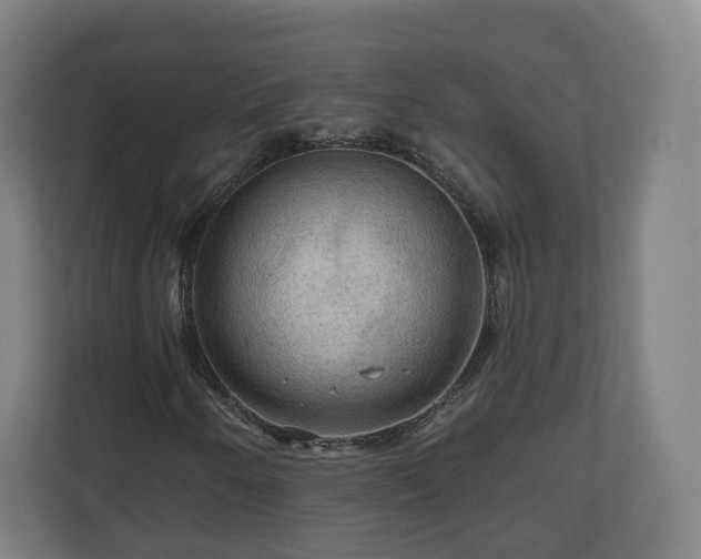 X0000111201250200907081235