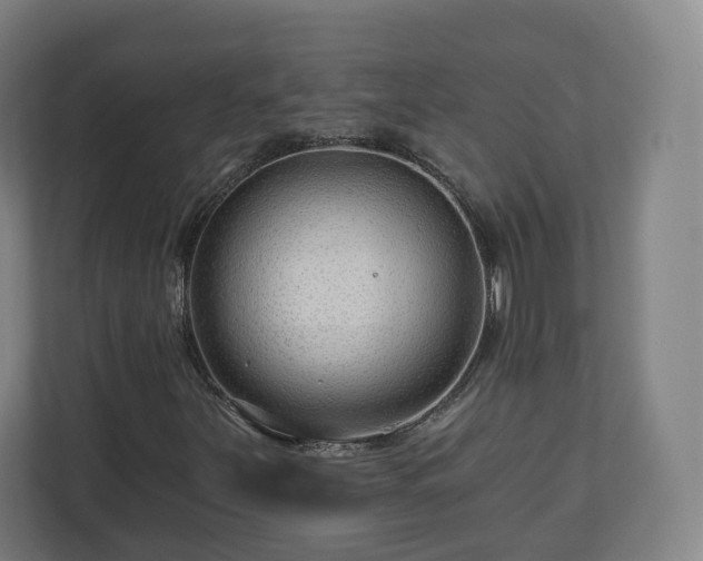 X0000111201251200907081235